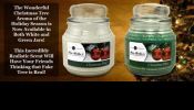 Southern Scent Candles-